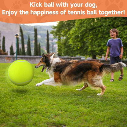 YUNLAN Giant Tennis Ball for Small Medium Pets - 9.5" Inflatable Rubber Dog Toy Ball with Pump & Needle - Funny Outdoor Toy for Playful Pups Training